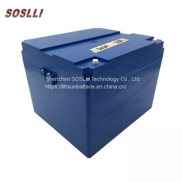 48v 30ah Electric forklift AGV vehicle portable lithium lifepo4 battery batteries pack