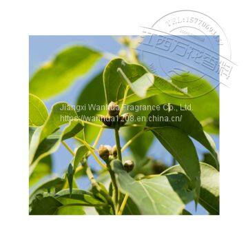 Alfalfa Essential Oil Wholesale High Price