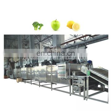 Belt dryer machine industrial broccoli vegetable dryers for sale