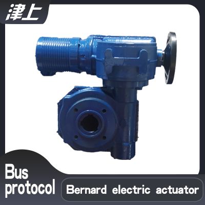 Tianjin Bernard intelligent integrated electric actuator B+RS250/F40Z network connection control