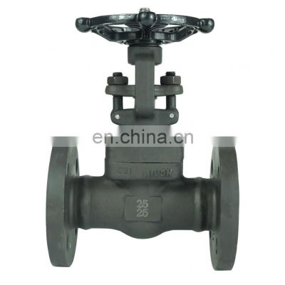 Class150~2500 Supply Carbon Steel Forged Manual Flange Gate Valve