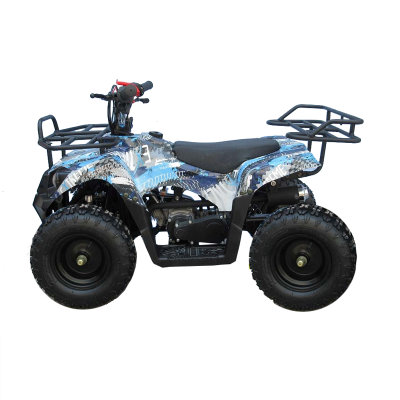 49CC 50CC Electric Start Quad Bike Kids Off-road Quad ATV 4stroke Motorcycle With Reverse photo-3