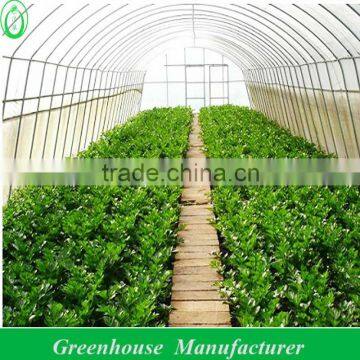 agricultural plastic film tunnel greenhouse