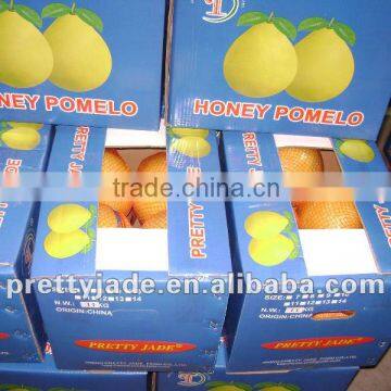 chinese fresh pomelo