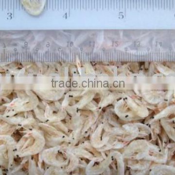 Dried Baby Shrimp