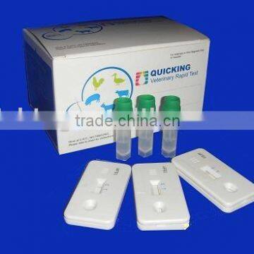 Quicking Porcine Circovirus-II Ab Rapid Test