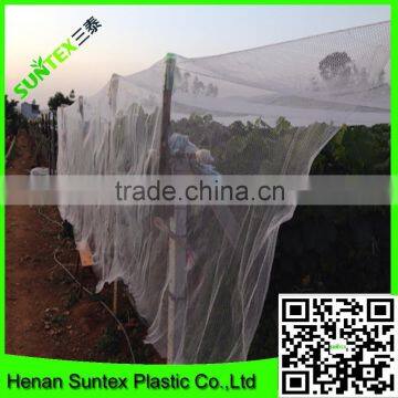 Virgin hdpe anti hail net with uv for agricultural leader manufacturer in China