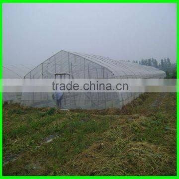 Leaf Minder Net , Anti Insect Net photo-6