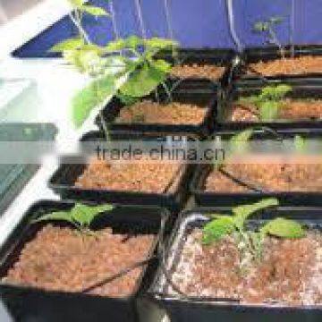 2016 New Dutch pots/Bato pots/planting pots/ growing pots/hydroponics pots/ for greenhouse/indoor/garden decoration