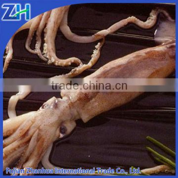 Frozen argentina illex squid, jigger catch argentina squid, illex squid small size