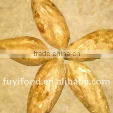 Fresh/Healthy Chinese ArrowRoot