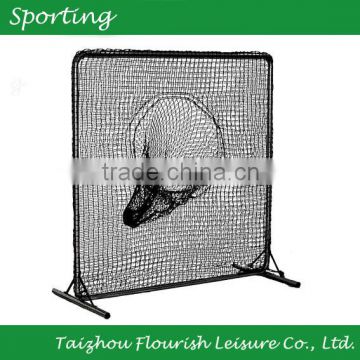 Practice Sports Net & Frame