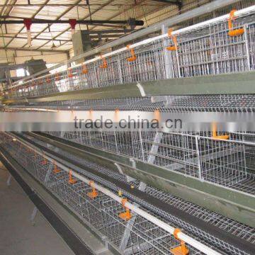 Chinese Factory Design Steel A Type Laying Cages for Chicken photo-2
