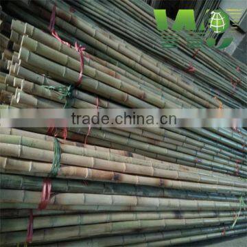 hot sale bamboo pole short bamboo pole natural