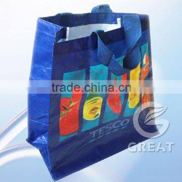 PP Woven Bag for Promotional Gifts, Supermarkets and Shops with Green Printing(glt-w0055)