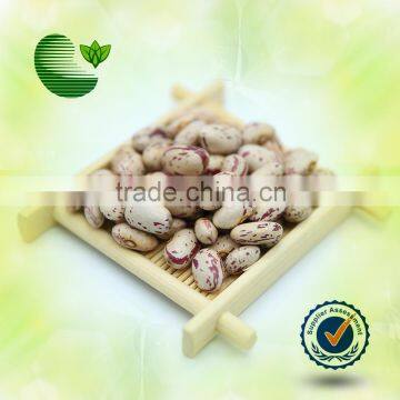 Chinese Light Speckled Kidney Beans (American Round Type) New Crop