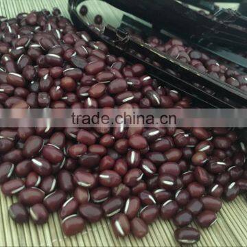 Chinese Adzuki Beans for Europ photo-4