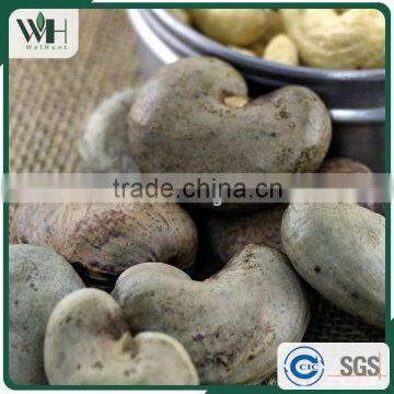 2016 Newest Cambodia Shell Attached Cashew Nut photo-4