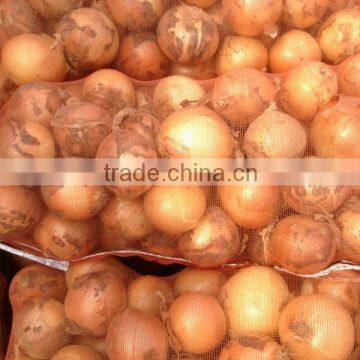 Yellow Onion Red Onion Specification Fresh photo-2