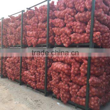 2015 Fresh Red and Yellow Onions With Lowest Price photo-4