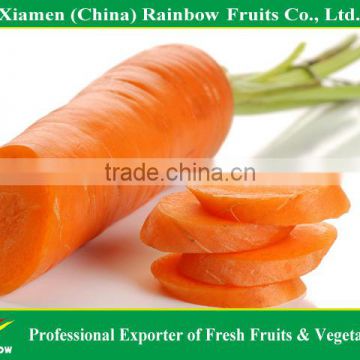 Fresh Chinese Carrots