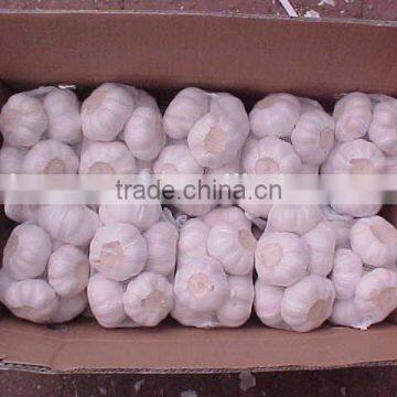 YUYUAN brand hot sail fresh garlic garlic oil softgel
