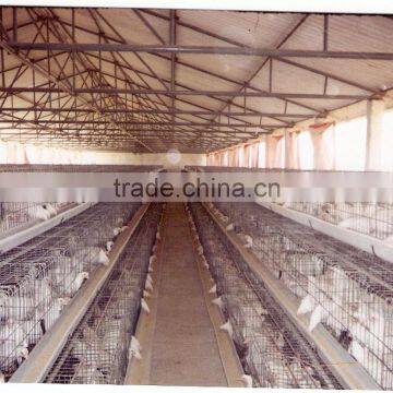 Poultry Cages