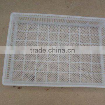 big hatchery box 77*54*12cm hatchery baskets