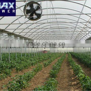 Fan for Green House