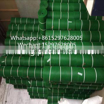 Pure material plastic mesh, PE net, green plastic flat net, filter