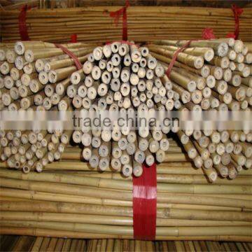 WY-211 Natural Dryness for 12% Straight Garden Tonkin Bamboo Poles Bamboo Canes Bamboo Stakes for Sale photo-4