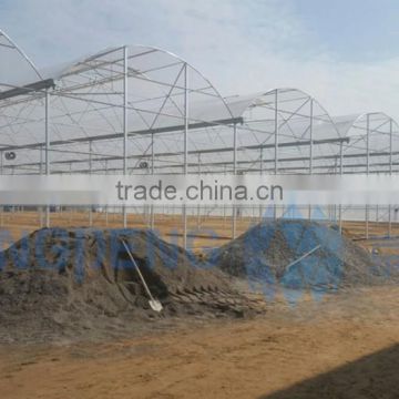 Single layer plastic film multi-span greenhouse (ISO9001:2000)