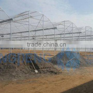 UV Resistant Plastic Film Greenhouse photo-3