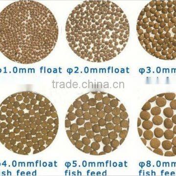 Automatic Sinking Fish Food Processing Line photo-5