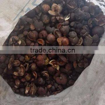 Wide Application Sunflower Seed Camellia Seeds Sheller in Stock photo-3