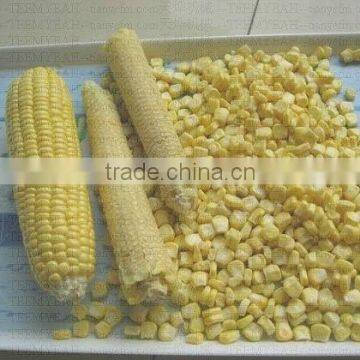 MZ-368 Waxy Corn Cutter photo-6