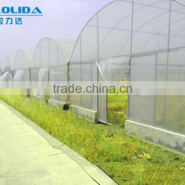 hot sale galvanized pipe with plastic film greenhouse for crops or commercial use