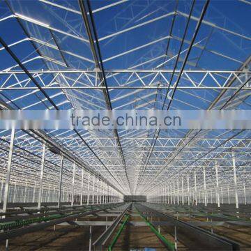 High Quality Glass Greenhouse With Greenhouse Heater photo-5