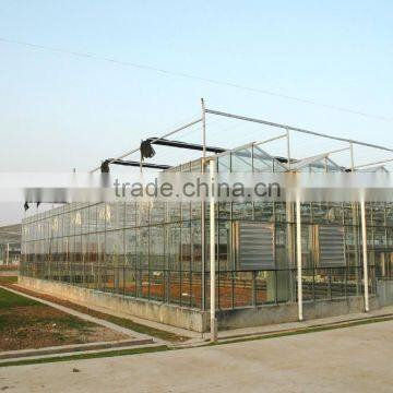 Large Glass Agricultural Greenhouses/Glass Greenhouses Used photo-5