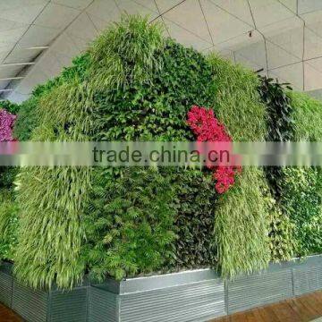 SJ1801298 Resturant Decoration Green Plant Walls photo-5