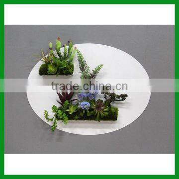 FO-WR36 Fashional Artificial Plants Wall Art