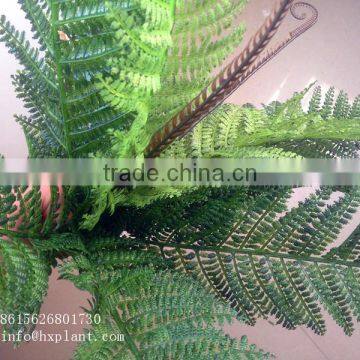 Artificial Fern for Dinosaur Park photo-2