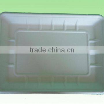 Sugar Cane Pulp Tray/biodegradable Tray