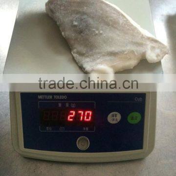 Frozen John Dory Fillet (Zeus Faber)