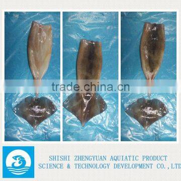 FROZEN SQUID WING photo-2