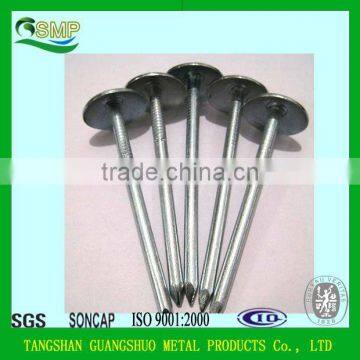 Umbrella head galvanized Umbrella Head Roofing nails 2"x10BWG Nigeria marketroofing nails with rubber gasket