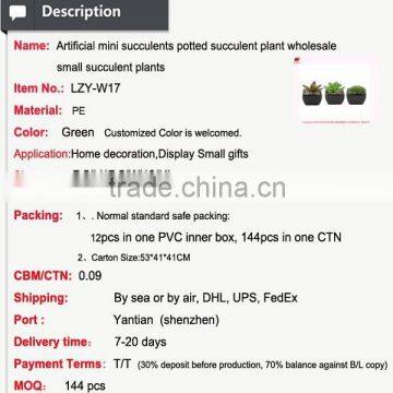 Artificial Mini Succulents Potted Succulent Plant Wholesale Small Succulent Plants photo-2