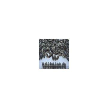 2012 Chinese Roasted Sunflower Seeds