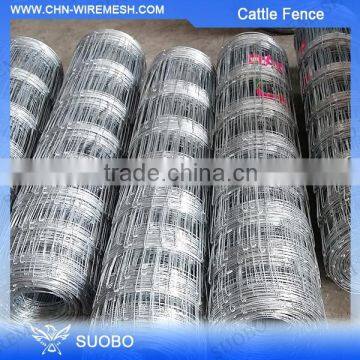 China Hot Sale High Tensile Available Electric Cattle Fence Grassland Fence Wire Mesh, Cattle Fencing Net