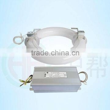 china lighting product Energy saving 80W electrodeless round induction circular lamp